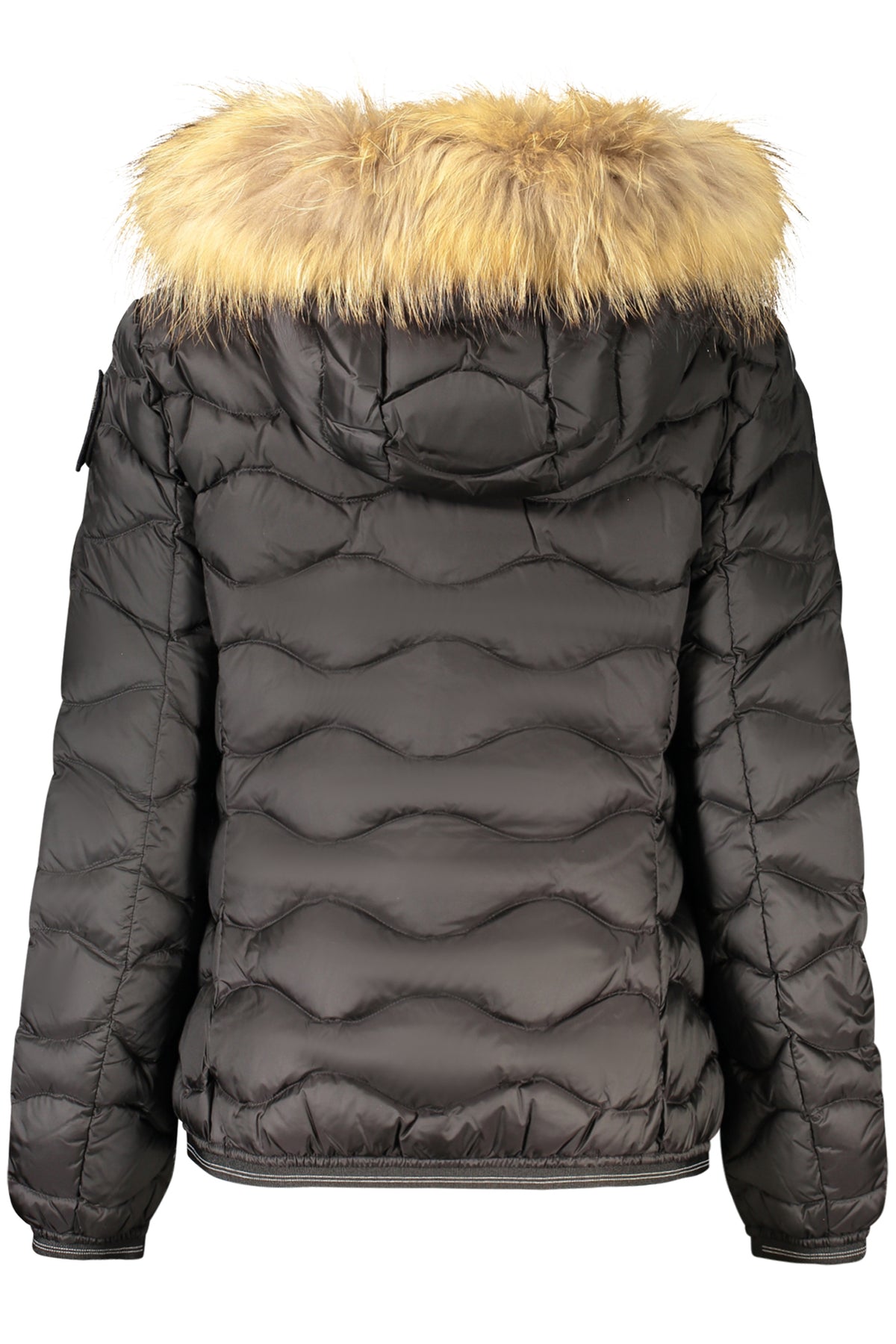 Casaco BLAUER de mulher preto