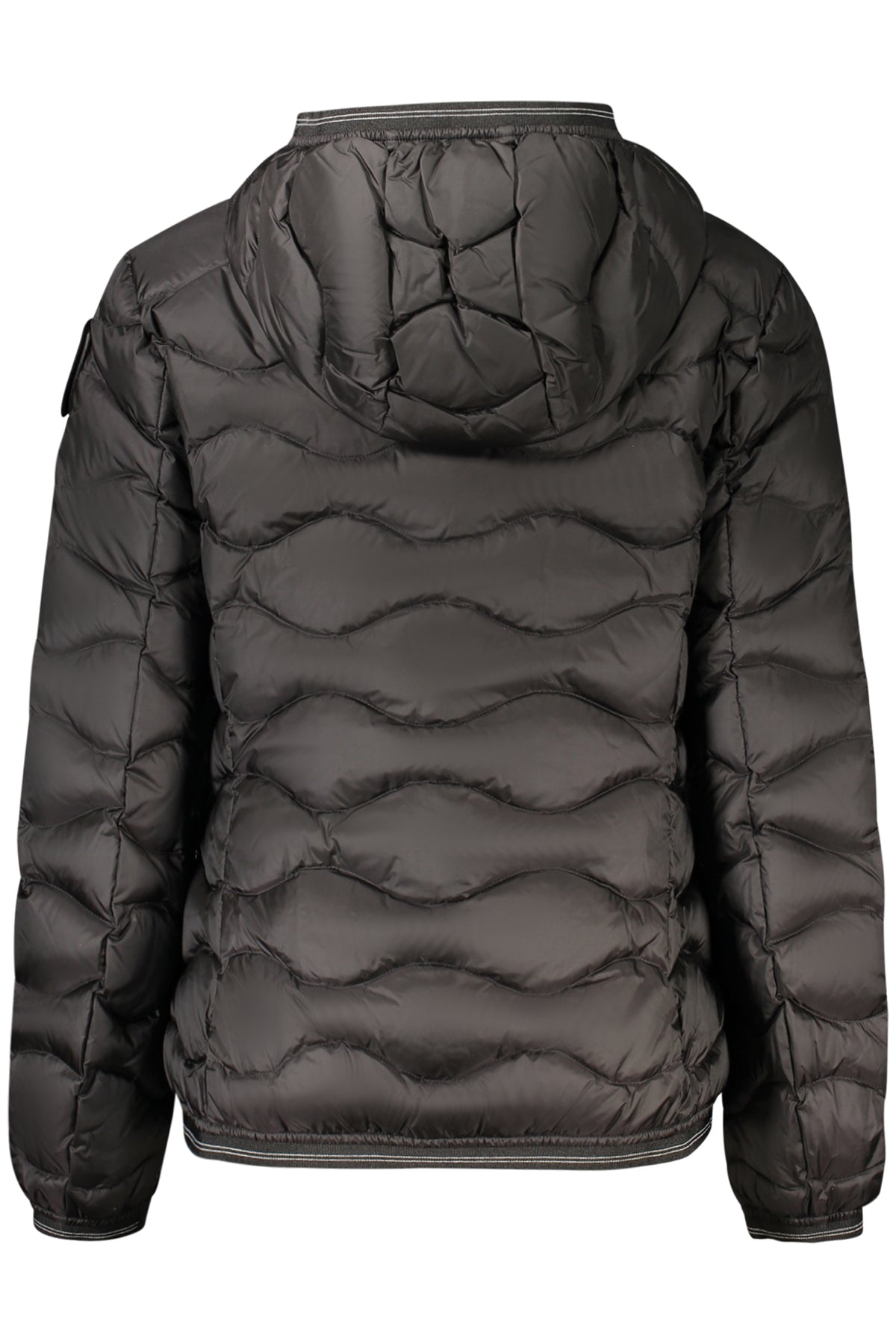 Casaco BLAUER de mulher preto